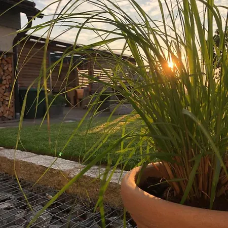 Apartment Thiergarten