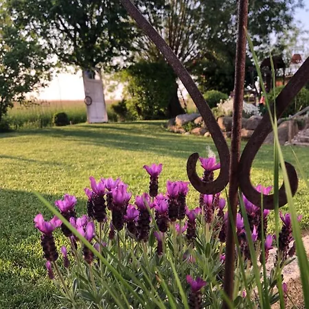 Thiergarten Apartment Mistelgau