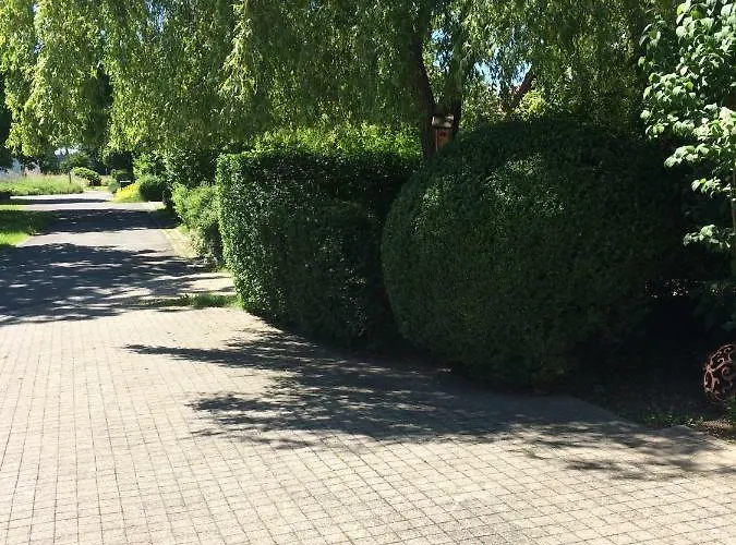 Thiergarten Appartamento