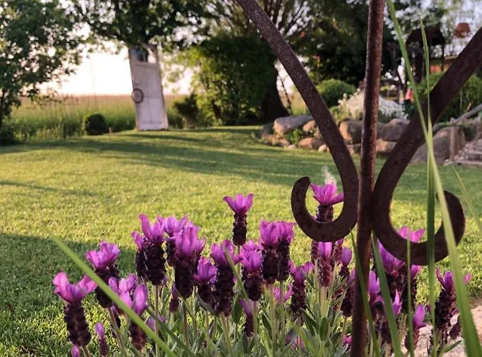 Thiergarten Appartamento Mistelgau