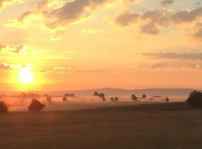 Thiergarten Mistelgau